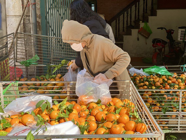Nhiều tiểu thương giới thiệu quýt sim có nguồn gốc tại tỉnh Cao Bằng, Hòa Bình cũ của Việt Nam.