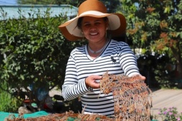 Đặc sản ‘vũ nữ chân dài’ hút khách dịp Tết, giá hơn nửa triệu vẫn cháy hàng