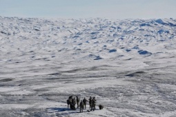 Ủy viên châu Âu: Mỹ dùng vũ lực chiếm Greenland sẽ đặt dấu chấm hết cho NATO
