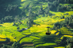 Tạp chí Mỹ chọn Sa Pa là điểm đến dành cho người tuổi Sửu năm 2026