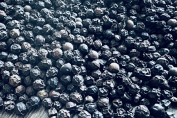 ‘Vàng đen’ giá đắt đỏ, Việt Nam thu về 1,66 tỷ USD