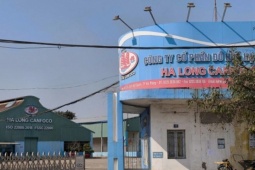 Đồ hộp Hạ Long vẫn trả lương công nhân khi dừng sản xuất