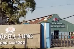 Lật giở quá trình phát hiện Công ty Đồ hộp Hạ Long làm patê bằng thịt lợn bệnh