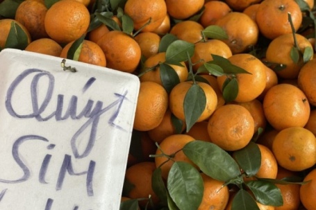 Quýt sim ngọt lịm giá rẻ đổ bộ chợ Việt, người tiêu dùng thi nhau đặt số lượng lớn về dùng dần