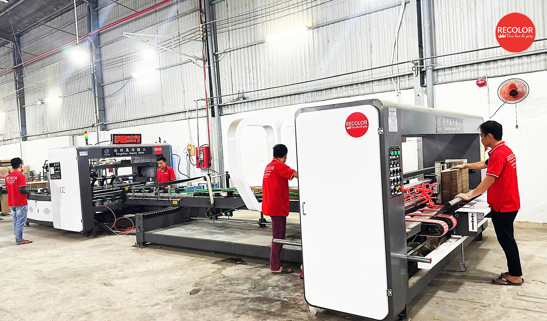 RECOLOR và hành trình nâng chuẩn thùng carton cho doanh nghiệp Việt - 2