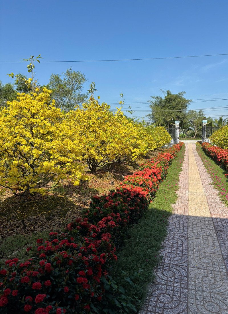 Hiền hạnh phúc khi có đám cưới đẹp và độc đáo