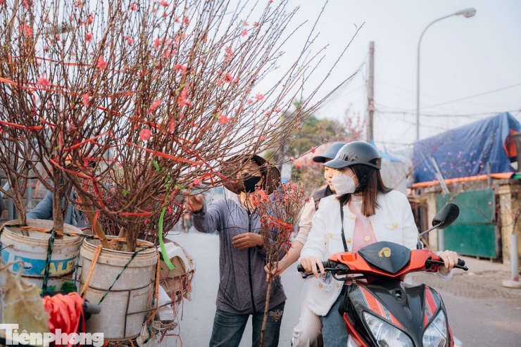 Một tiểu thương cho biết cứ qua dịp đầu năm Dương lịch thường có một đợt đào nở sớm, giá các cành đào lớn của Nhật Tân có thể cao hơn, trong khi cành nhỏ bán rất chạy. Hiện đào huyền Nhật Tân cỡ lớn có giá từ 500.000-600.000 đồng/cành tùy dáng, tùy kích cỡ, đào cành nhỏ có giá từ 100.000-120.000 đồng/cành.