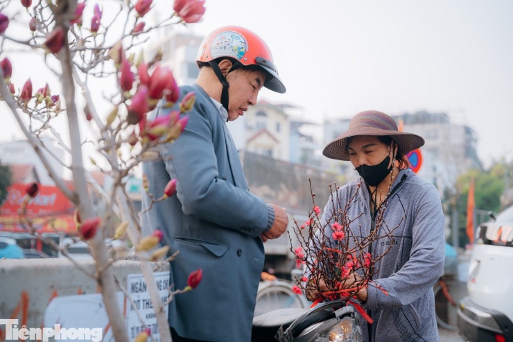"Thói quen chơi đào sớm đã trở thành nếp của gia đình tôi, năm nay tôi chọn một cành đào bích Nhật Tân nhỏ để bày trên ban thờ, giá thành năm nay cũng không quá chênh lệch so với năm ngoái", ông Nguyễn Văn Thành (phường Hồng Hà, Hà Nội) cho hay.
