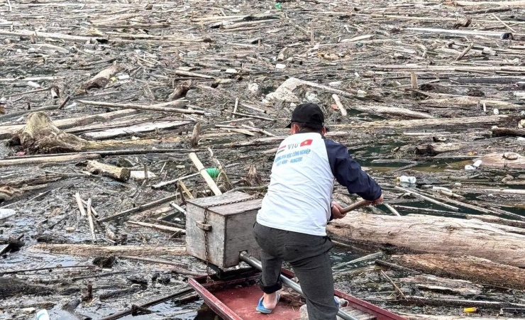 Hàng nghìn tấn rác từ cây gỗ đã ùn ứ, đọng lại trên mặt hồ. Trong khi đó, giao thông trên địa bàn chủ yếu đi bằng đường thủy. Việc rác gỗ phủ kín mặt hồ khiến người dân đi lại khó khăn.