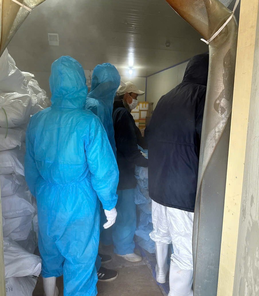 Khởi tố Tổng Giám đốc Công ty CP Đồ hộp Hạ Long và 3 nhân viên - 2