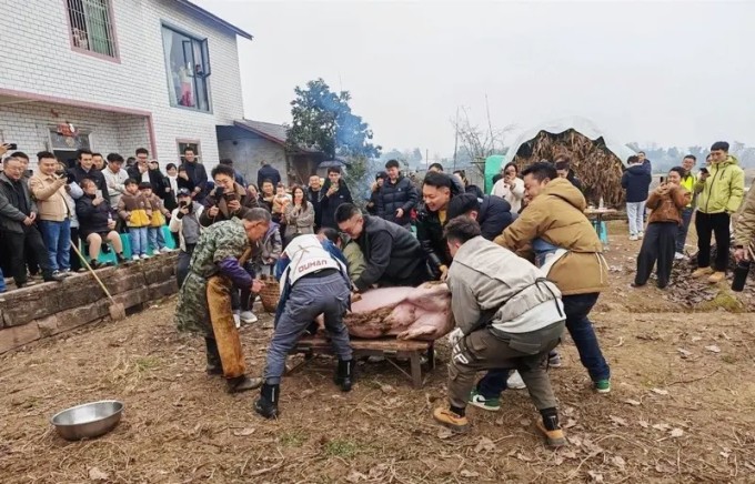 Người lạ từ khắp nơi hưởng ứng lời mời tới mổ lợn, ăn "đụng lợn" của gia đình Dai Dai, hôm 12/1. Ảnh: Jimu news