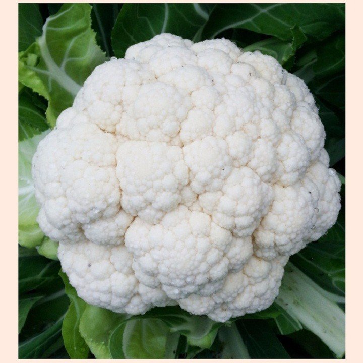 Loại rau quen thuộc giàu chất chống oxy hóa, hỗ trợ ngăn ngừa ung thư, chế biến thành nhiều món ngon - 2