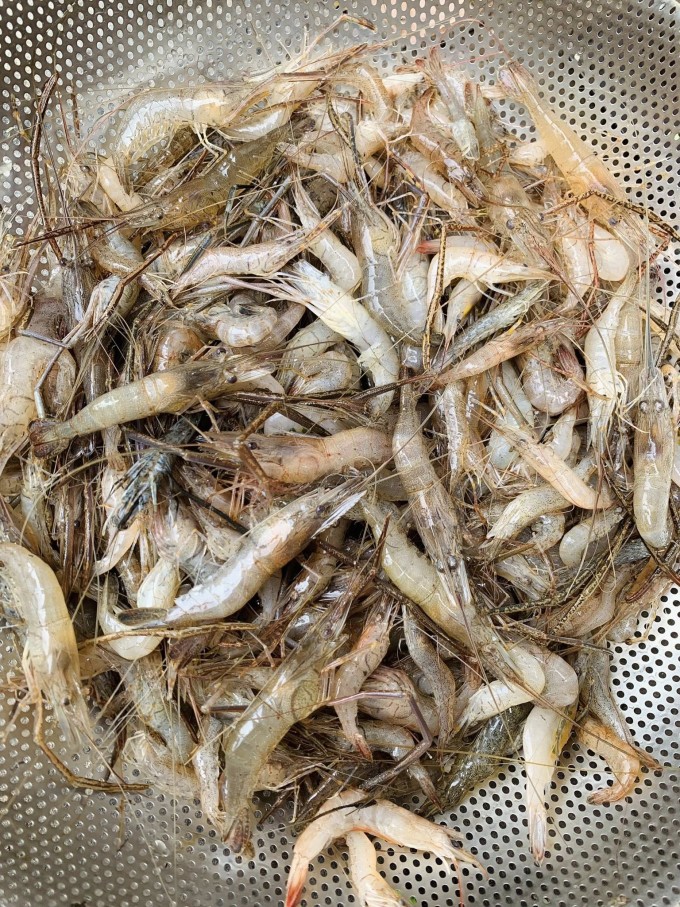 Mẹo làm bánh bột lọc Huế dễ thành công tại nhà - 2