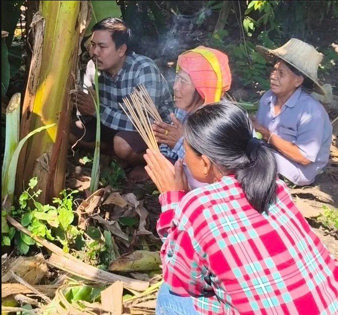 Dù đến nay chưa có bất kỳ lý giải khoa học chính thức nào về nguyên nhân khiến hai cây chuối ra buồng bất thường, hiện tượng này vẫn được người dân địa phương xem là một "điềm lạ". (Ảnh: The Thaiger)