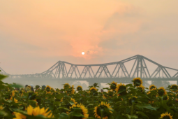 Bến hoa Phúc Xá hồi sinh, thành điểm 'săn' bình minh hot