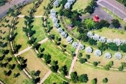 Vụ Công ty TNHH Cây Xanh Công Minh: Các đối tượng đã gây thiệt hại cho Nhà nước hơn 395 tỷ đồng