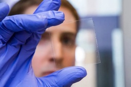 Xuất hiện cửa sổ gỗ trong suốt chặn 100% tia UV mà không cần điện