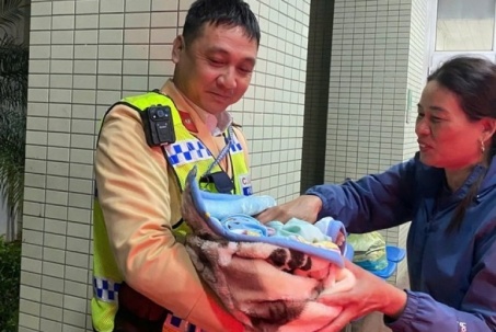 Bé trai chào đời trên xe tuần tra của cảnh sát giao thông