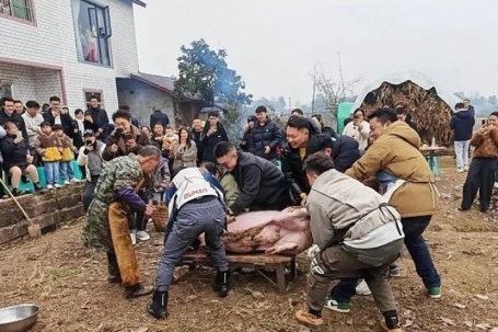 Nhờ dân mạng giúp mổ lợn, cô gái bất ngờ tiếp 10.000 khách