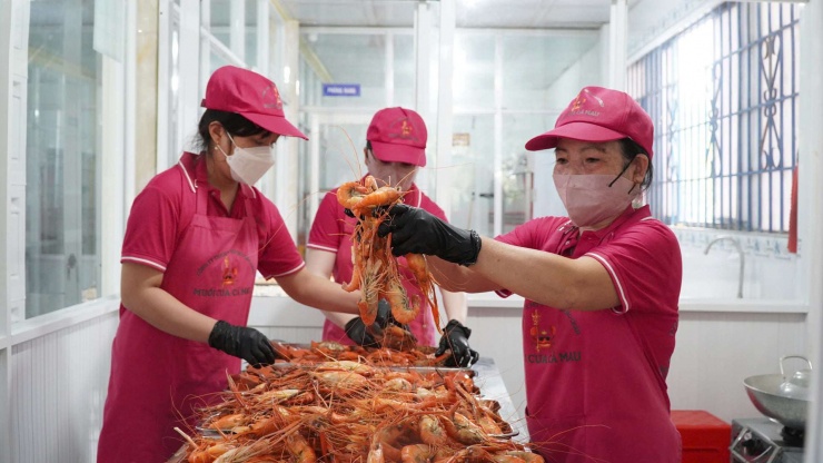 Một công đoạn trong quy trình chế biến tôm càng xanh tươi sống thành tôm khô tại cơ sở của chị Nguyễn Thị Lan Hương, ngụ xã U Minh, tỉnh Cà Mau được thực hiện công&nbsp; phu, nhằm đảm bảo chất lượng sản phẩm và an toàn vệ sinh thực phẩm. Ảnh: An An