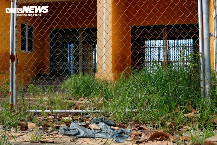 Nhiều người qua đường Nguyễn Văn Linh (phường Hương An, TP Huế) thường thở dài ngao ngán khi thấy khối nhà chung cư bị bỏ hoang nhiều năm, nhếch nhác và lãng phí. Nhìn từ ngoài vào cảnh hoang vắng khiến người dân ví khu chung cư này giống như những khu chung cư "ma" trong các bộ phim kinh dị.