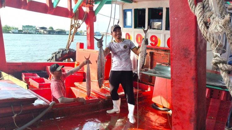 Với chuyến biển gần đây, anh Thái cho rằng cả sản lượng lẫn giá bán đều ở mức “tạm được”. Doanh thu mỗi chuyến khoảng 800 – 900 triệu đồng. Sau khi trừ chi phí, thu nhập chia cho bạn ghe, mỗi người cũng được khoảng trên dưới chục triệu đồng.