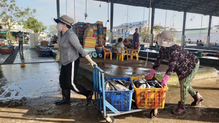 Theo nhiều ngư dân, từ nay đến khoảng tháng 3, tháng 4 âm lịch, nếu thời tiết tiếp tục êm, biển lặng, việc khai thác sẽ còn thuận lợi hơn nữa.