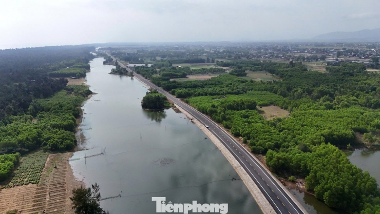 Ngắm cung đường ven biển băng qua rừng dương, cồn cát đẹp bậc nhất Quảng Ngãi - 17
