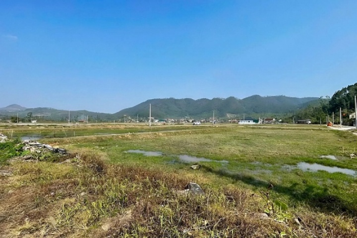 Môi giới tháo chạy khỏi khu vực sốt đất đấu giá