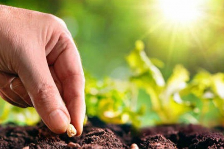 Tại sao bạn nỗ lực mãi không giàu?: Hãy đọc 7 quy luật này trước khi quá muộn