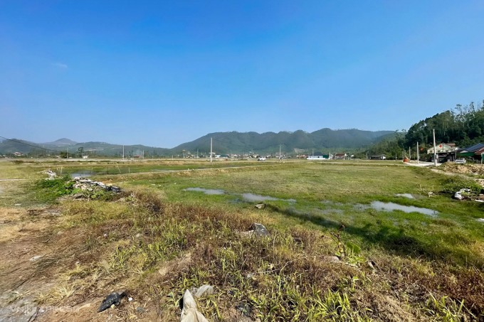 Khu đất đấu giá Rú Cụp - Nam Lĩnh vắng bóng môi giới, chiều 14/1. Ảnh: Đức Hùng