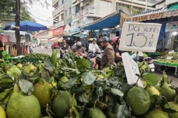 Giá bưởi da xanh bất ngờ rẻ ngay trước tháng Chạp