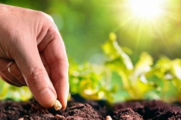 Tại sao bạn nỗ lực mãi không giàu?: Hãy đọc 7 quy luật này trước khi quá muộn