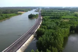 Ngắm cung đường ven biển băng qua rừng dương, cồn cát đẹp bậc nhất Quảng Ngãi