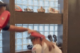 Thái Trác Nghiên chăm tập luyện cùng bạn trai PT kém 10 tuổi