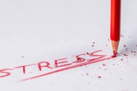 Đột quỵ tuổi 30 - giá đắt của việc phớt lờ tín hiệu SOS