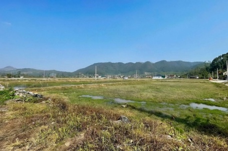 Môi giới tháo chạy khỏi khu vực sốt đất đấu giá