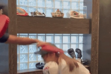 Thái Trác Nghiên chăm tập luyện cùng bạn trai PT kém 10 tuổi