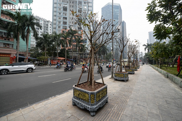 Trong quá trình cải tạo nút giao Lê Văn Lương - Hoàng Minh Giám, đơn vị thi công đã di dời hàng chục cây xanh để phục vụ việc mở rộng mặt đường. Sau khi hoàn thành các hạng mục chính, nhiều chậu cây được bố trí lại trên vỉa hè đường Lê Văn Lương và phố Hoàng Minh Giám.