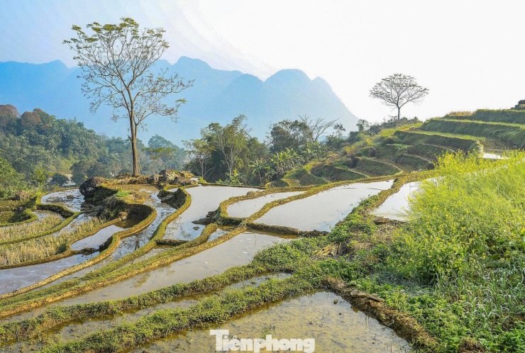Vẻ đẹp ruộng bậc thang Pù Luông mùa nước đổ - 4