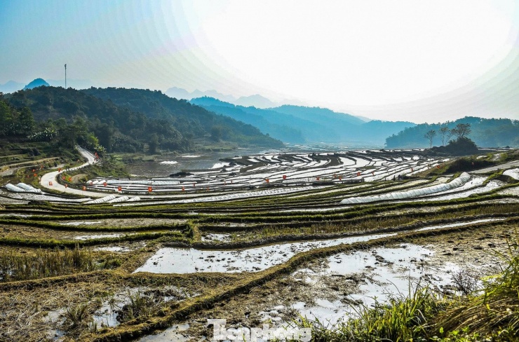 Khắp những ruộng lúa bậc thang, nước ngập đầy ruộng, trải theo từng tầng bậc uốn lượn quanh sườn núi, biến không gian canh tác quen thuộc thành những “tấm gương” phản chiếu bầu trời, mây trắng và sắc xanh trùng điệp của núi rừng.