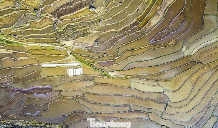 Từ trên cao nhìn xuống những thửa ruộng bậc thang hiện lên như bức tranh với nhiều mảng màu sắc, được tạo nên bởi những thửa ruộng ngập nước.