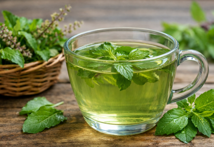 Nước lá húng quế - thức uống thảo dược tốt cho sức khỏe.
