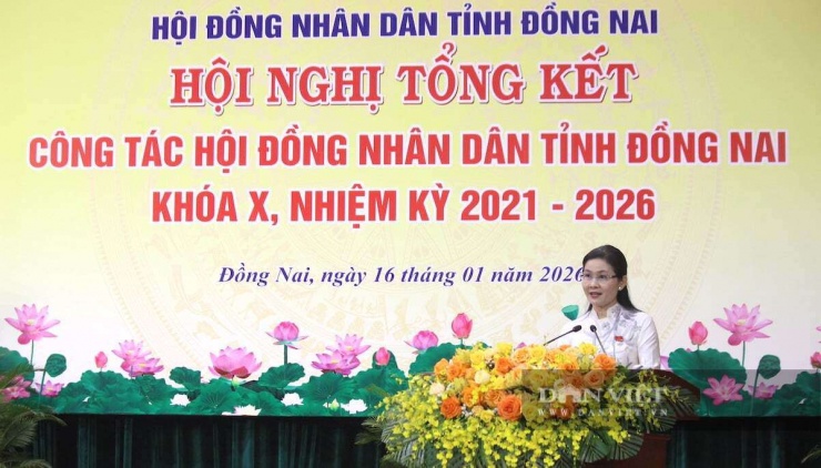Bí thư Tỉnh ủy Đồng Nai: Nếu chính lãnh đạo tỉnh có đất bị quy hoạch treo suốt 20 năm, có thấy sốt ruột không? - 1
