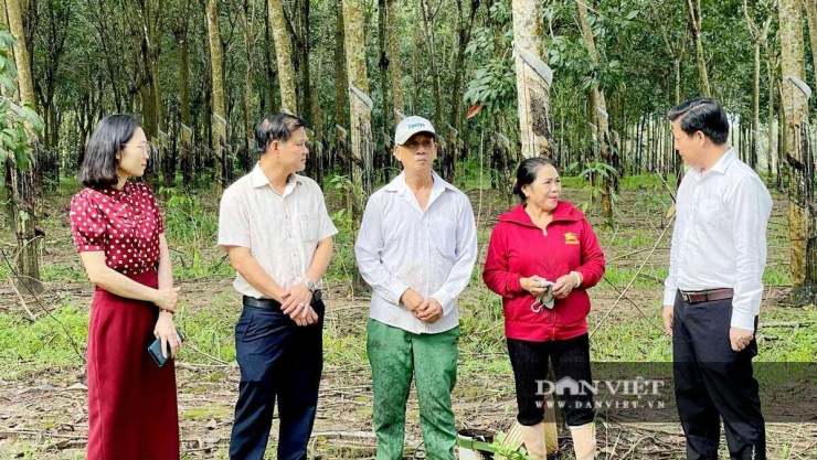 Lãnh đạo xã Nha Bích (tỉnh Đồng Nai) vận động người dân bàn giao đất để giải phóng mặt bằng cao tốc Gia Nghĩa - Chơn Thành. Ảnh: Nguyên Vỹ
