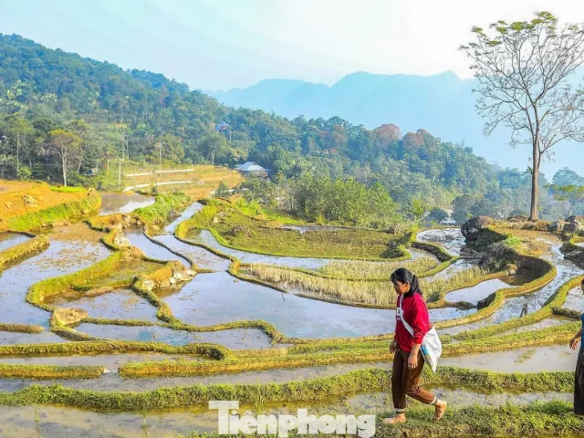 Vẻ đẹp ruộng bậc thang Pù Luông mùa nước đổ