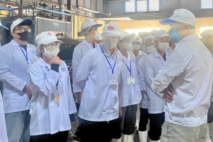 Đồ hộp Hạ Long tạm dừng sản xuất, 650 công nhân lao động có được nhận thưởng Tết Nguyên đán 2026?