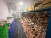 'Biến' 50 tấn thịt heo thành đặc sản bắp dê Australia, nhím, nai