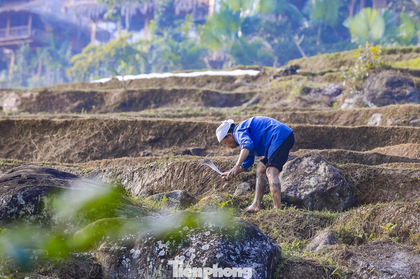 Nước từ đỉnh núi đổ về, lấp đầy từng ô ruộng, chuẩn bị cho một mùa vụ mới đầy hứa hẹn.