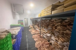 'Biến' 50 tấn thịt heo thành đặc sản bắp dê Australia, nhím, nai